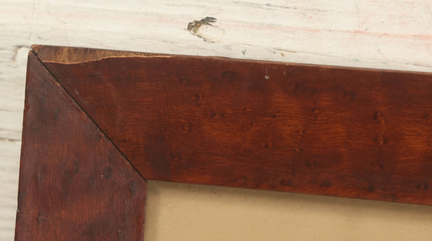 Lot 075 - Antique Hand Colored Botanical Copper Etching Of Aloe Lingua (Tongue Aloe), Plate No. 979, Curtis's Botanical Magazine, F. Sansom After Syd Edwards, In Frame, Dated 1806, Overall Dimensions 11-1/2" x 14-1/2"