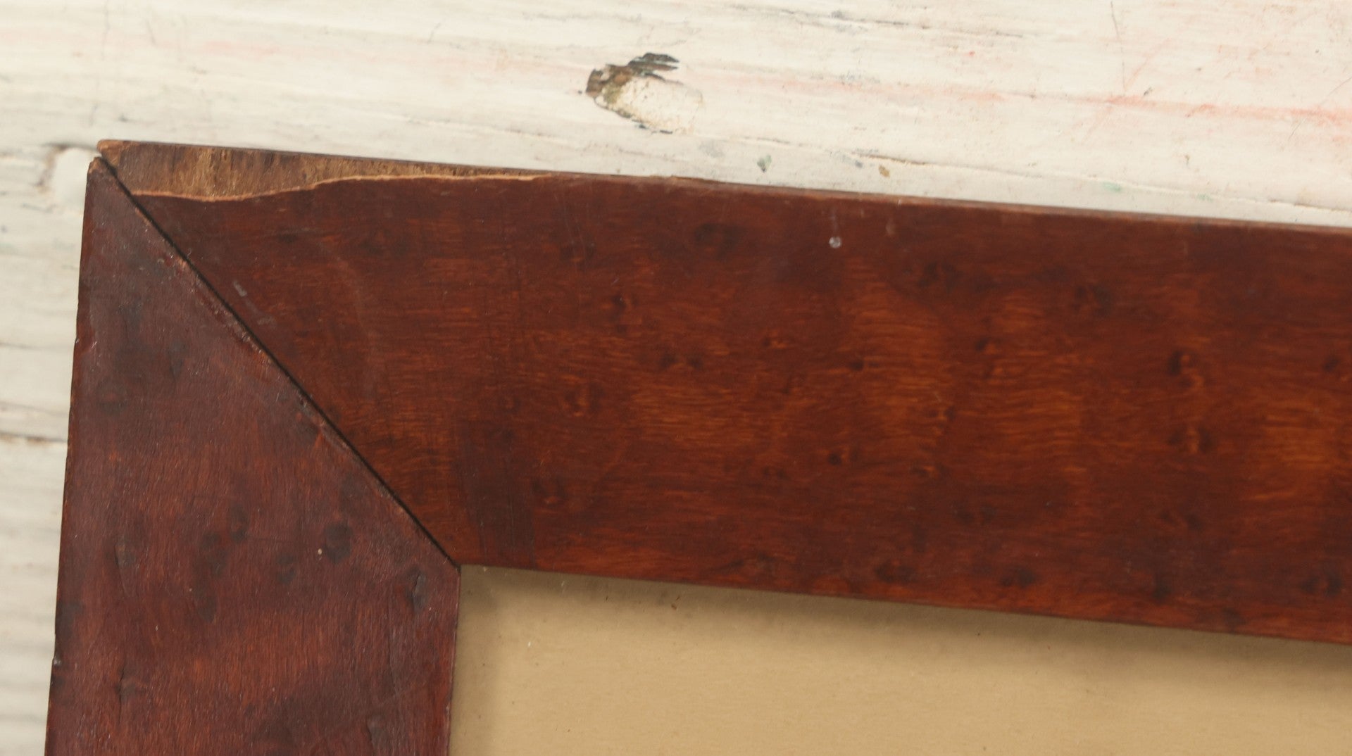 Lot 075 - Antique Hand Colored Botanical Copper Etching Of Aloe Lingua (Tongue Aloe), Plate No. 979, Curtis's Botanical Magazine, F. Sansom After Syd Edwards, In Frame, Dated 1806, Overall Dimensions 11-1/2" x 14-1/2"