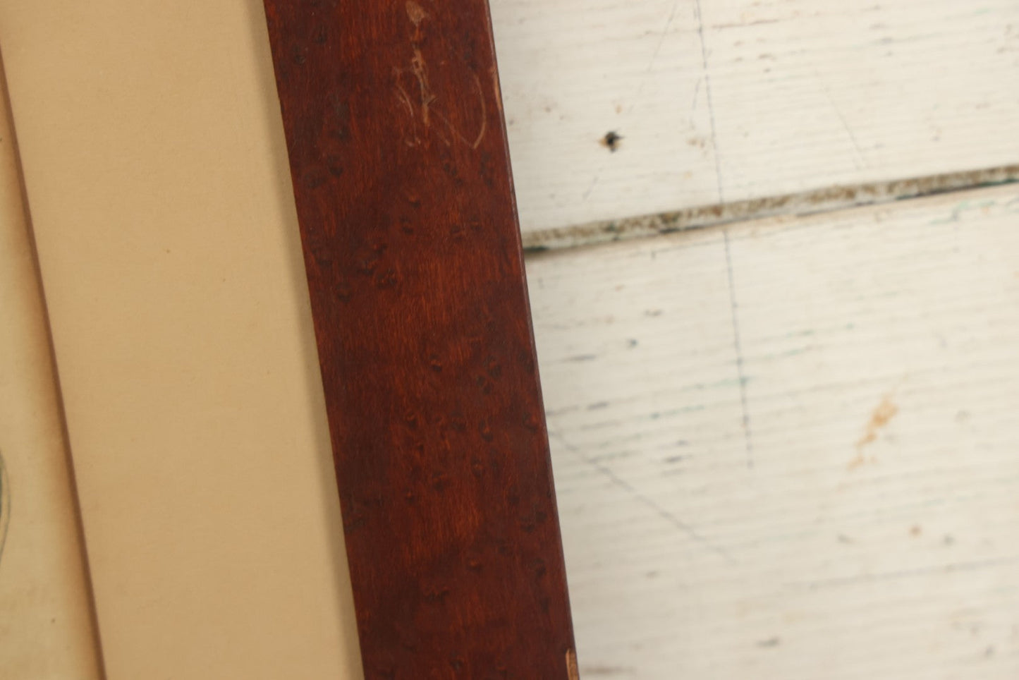 Lot 075 - Antique Hand Colored Botanical Copper Etching Of Aloe Lingua (Tongue Aloe), Plate No. 979, Curtis's Botanical Magazine, F. Sansom After Syd Edwards, In Frame, Dated 1806, Overall Dimensions 11-1/2" x 14-1/2"