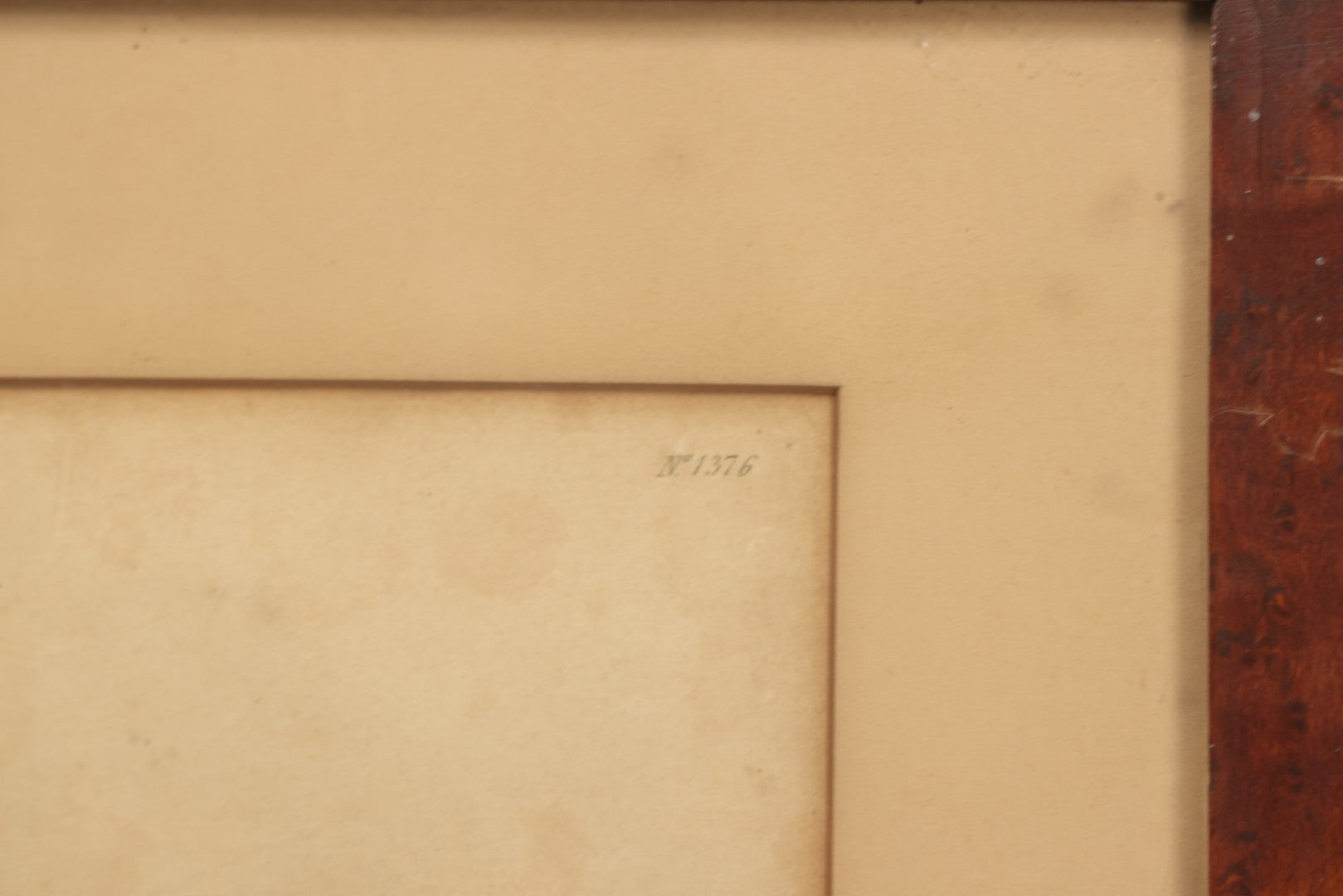 Lot 076 - Antique Hand Colored Botanical Copper Etching Of Tiny Fig-Marigold, Plate No. 1376, Curtis's Botanical Magazine, F. Sansom After Syd Edwards, In Frame, Dated 1811, Overall Dimensions 11-1/2" x 14-1/2"