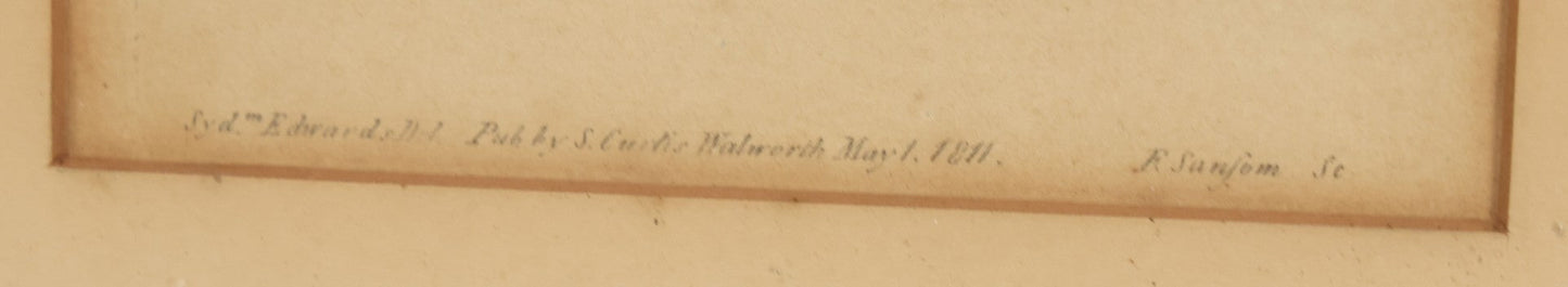 Lot 076 - Antique Hand Colored Botanical Copper Etching Of Tiny Fig-Marigold, Plate No. 1376, Curtis's Botanical Magazine, F. Sansom After Syd Edwards, In Frame, Dated 1811, Overall Dimensions 11-1/2" x 14-1/2"