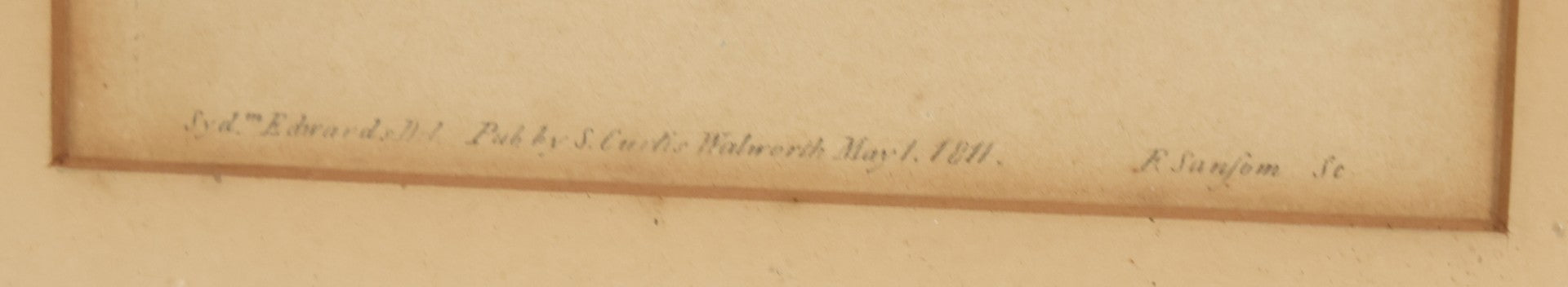 Lot 076 - Antique Hand Colored Botanical Copper Etching Of Tiny Fig-Marigold, Plate No. 1376, Curtis's Botanical Magazine, F. Sansom After Syd Edwards, In Frame, Dated 1811, Overall Dimensions 11-1/2" x 14-1/2"