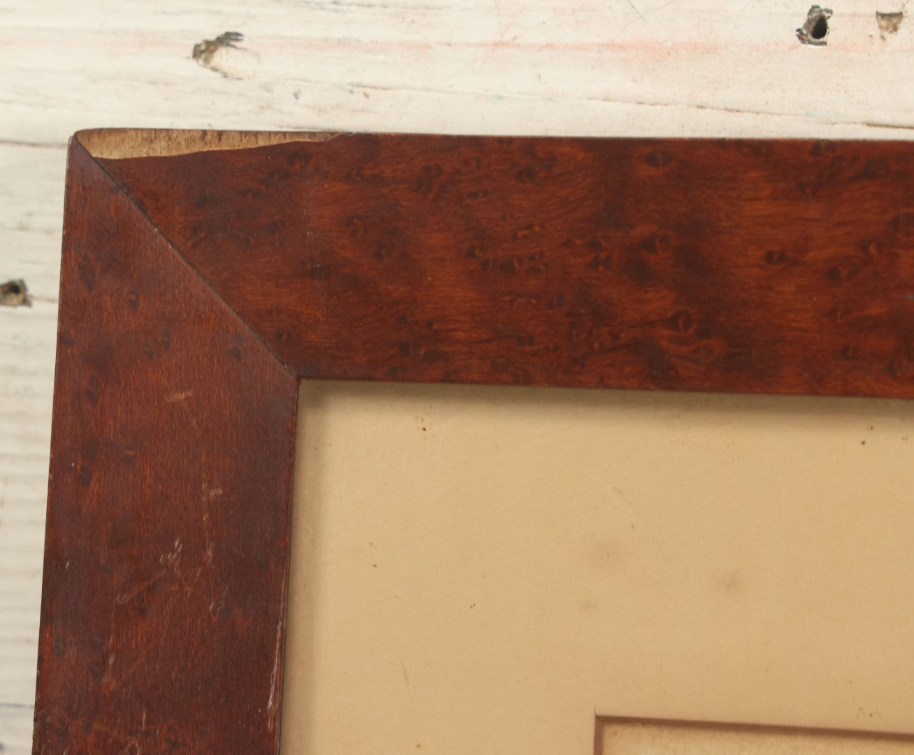 Lot 076 - Antique Hand Colored Botanical Copper Etching Of Tiny Fig-Marigold, Plate No. 1376, Curtis's Botanical Magazine, F. Sansom After Syd Edwards, In Frame, Dated 1811, Overall Dimensions 11-1/2" x 14-1/2"