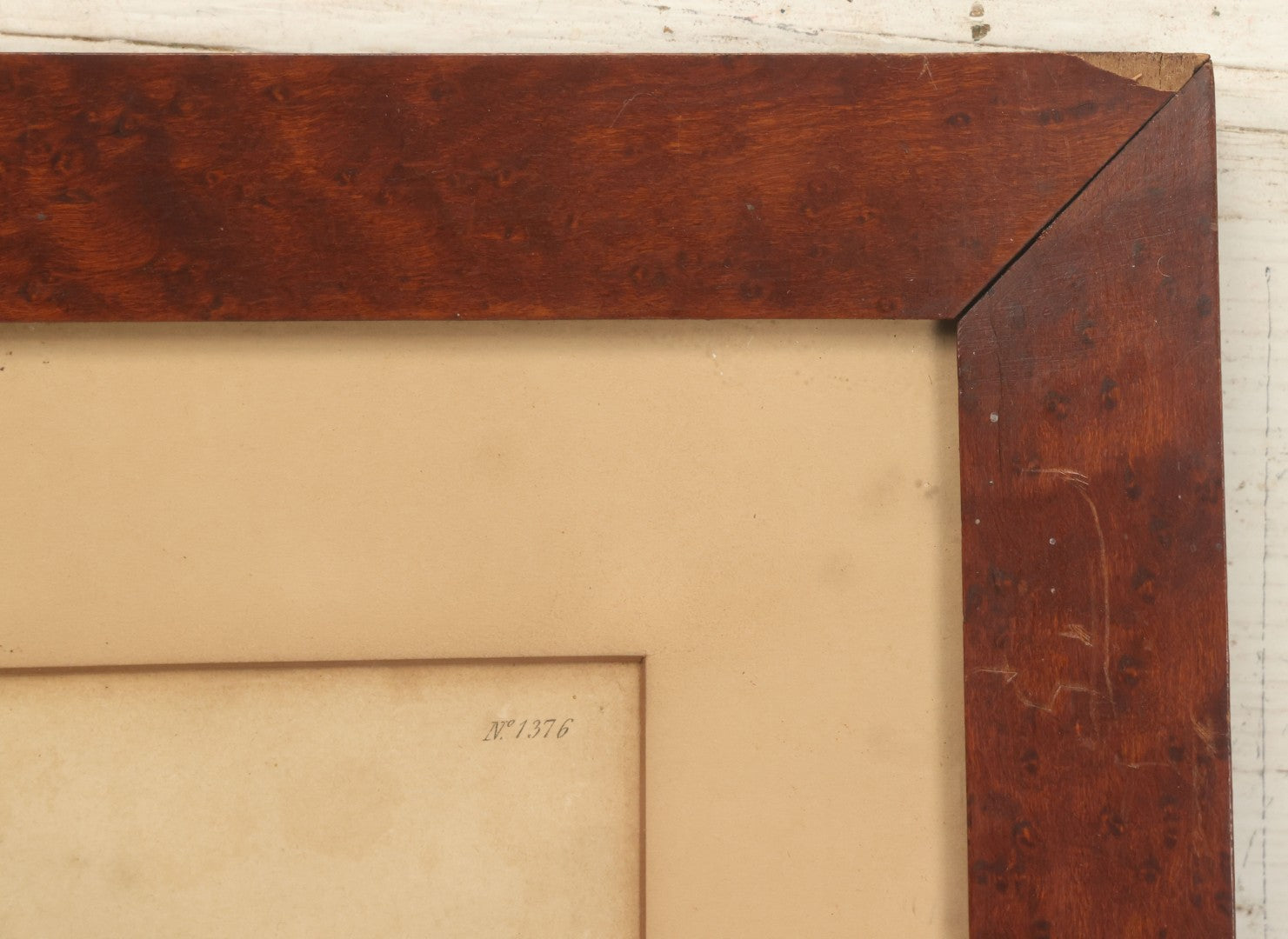 Lot 076 - Antique Hand Colored Botanical Copper Etching Of Tiny Fig-Marigold, Plate No. 1376, Curtis's Botanical Magazine, F. Sansom After Syd Edwards, In Frame, Dated 1811, Overall Dimensions 11-1/2" x 14-1/2"