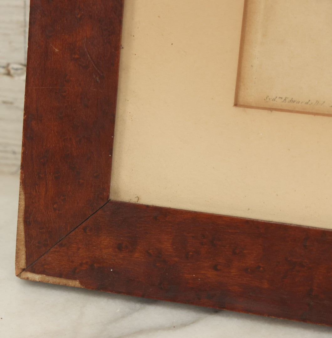 Lot 076 - Antique Hand Colored Botanical Copper Etching Of Tiny Fig-Marigold, Plate No. 1376, Curtis's Botanical Magazine, F. Sansom After Syd Edwards, In Frame, Dated 1811, Overall Dimensions 11-1/2" x 14-1/2"