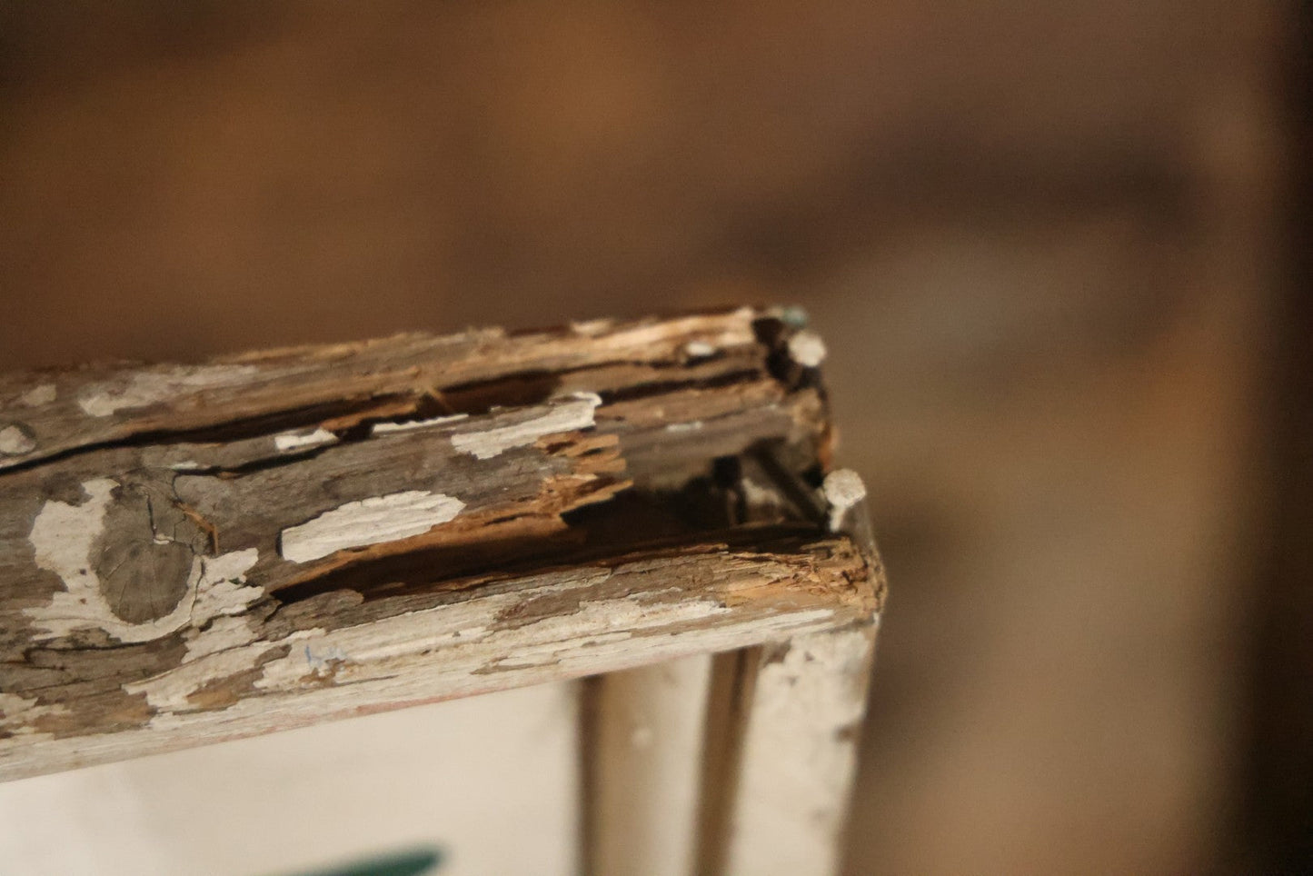 Vintage Hand Painted Cheney Orchards Salesroom Advertising Sign, Brimfield, Massachusetts. 49-1/8" x 49-1/2"