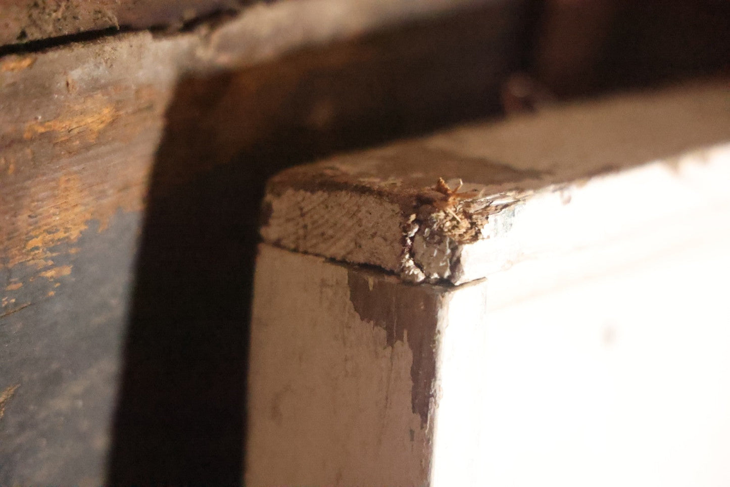 Vintage Hand Painted Cheney Orchards Salesroom Advertising Sign, Brimfield, Massachusetts. 49-1/8" x 49-1/2"