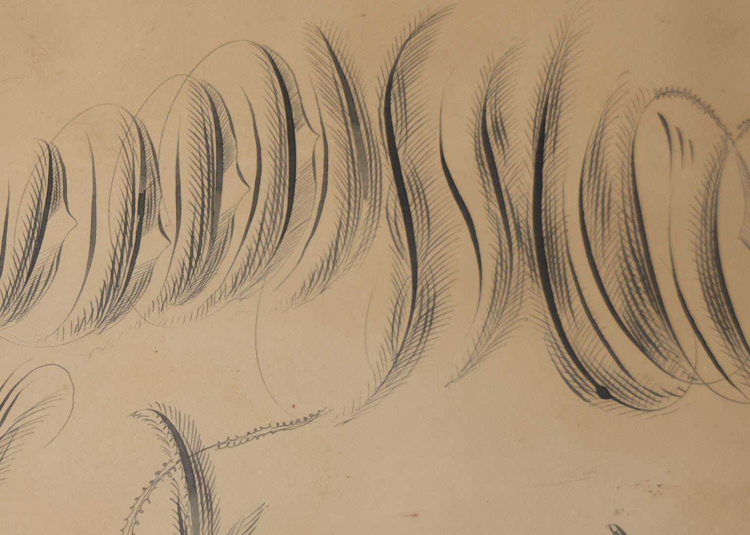 Antique Hand Drawn Calligraphy Art, "Friendship," With Birds Motif. 19-1/4" x 11-1/2"