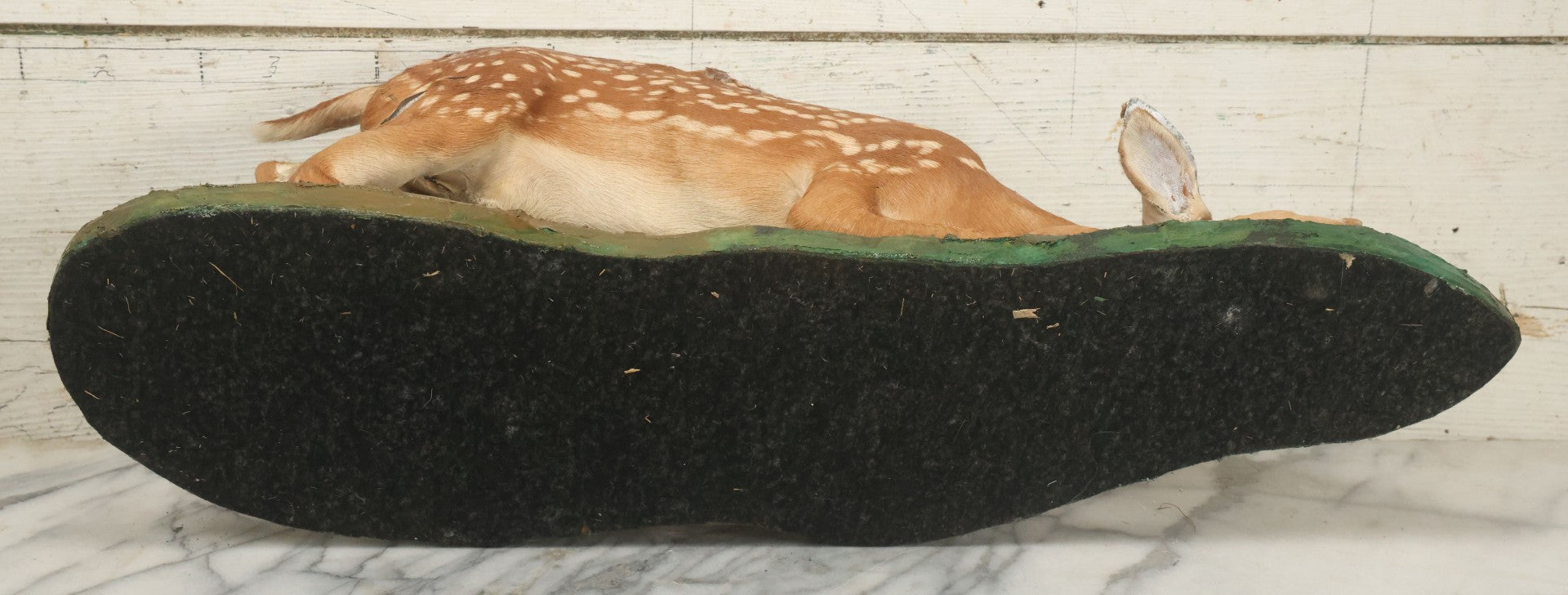 Lot 005 - Antique White Tailed Deer Faun Full Taxidermy Mount, As Found, Note Heavy Wear And Tear