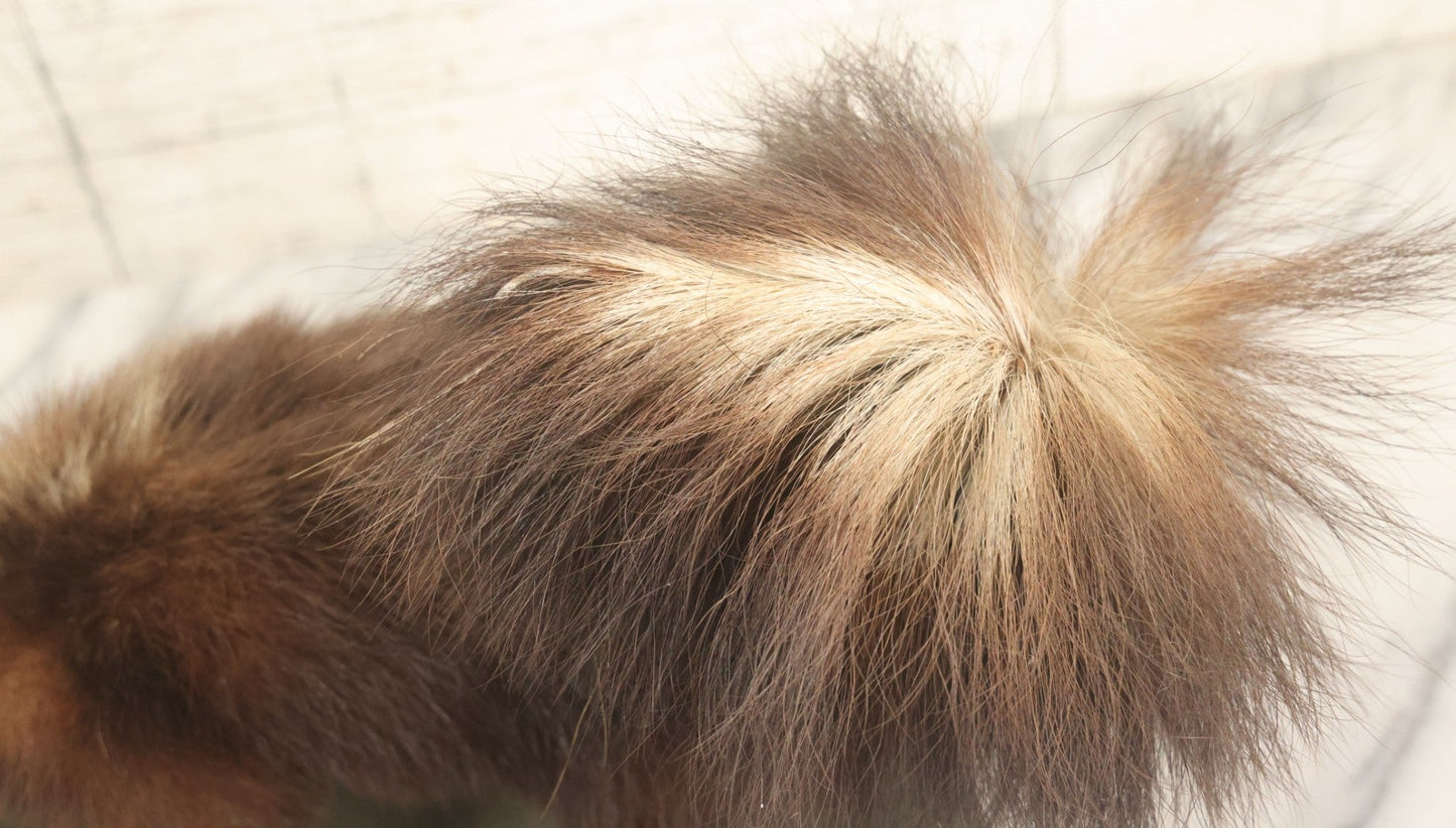 Lot 006 - Vintage Skunk Full Taxidermy Mount On Wooden Base With Big Fluffy Tail, Small Size