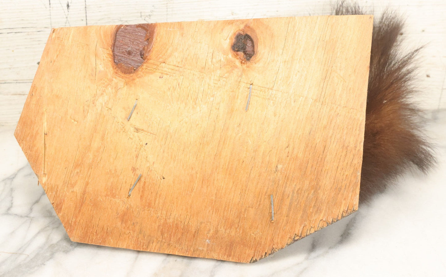 Lot 006 - Vintage Skunk Full Taxidermy Mount On Wooden Base With Big Fluffy Tail, Small Size