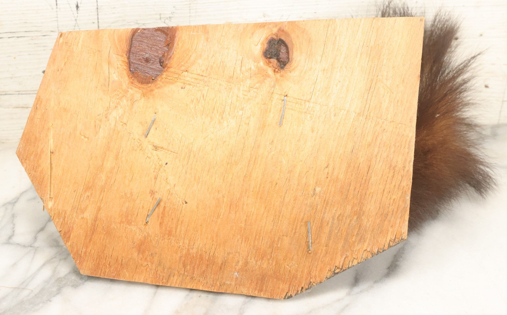 Lot 006 - Vintage Skunk Full Taxidermy Mount On Wooden Base With Big Fluffy Tail, Small Size