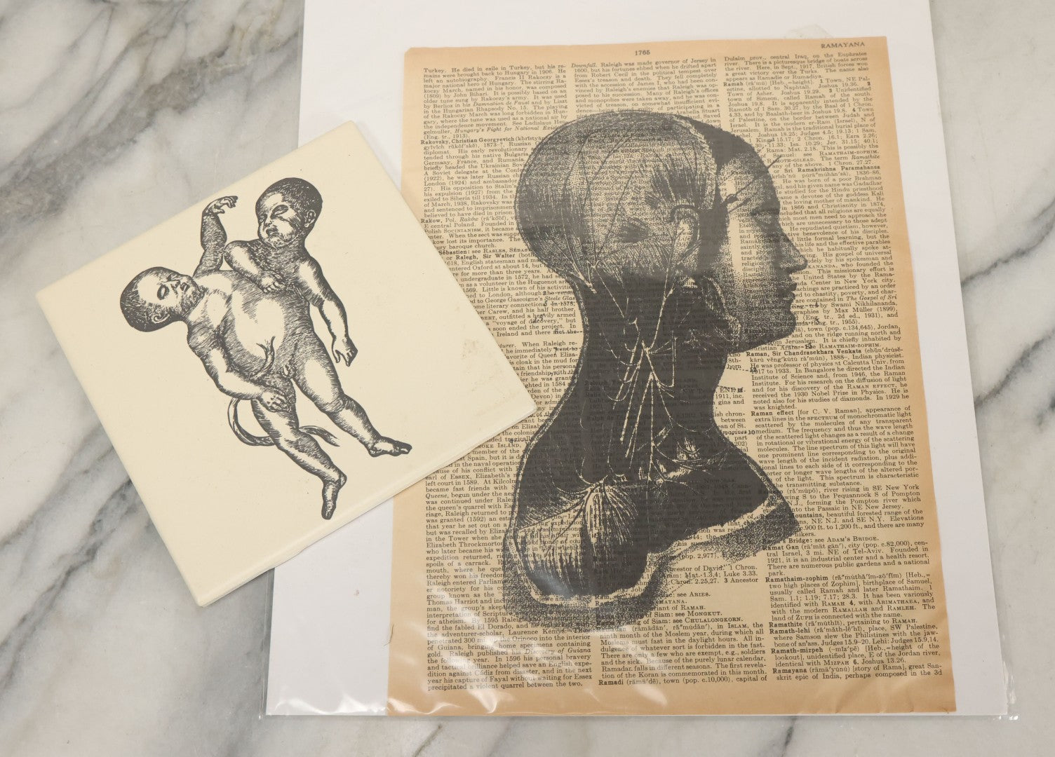 Lot 119 - Pair Of Modern Novelty Oddities Including Conjoined Baby Tile And Block Print On Dictionary Paper