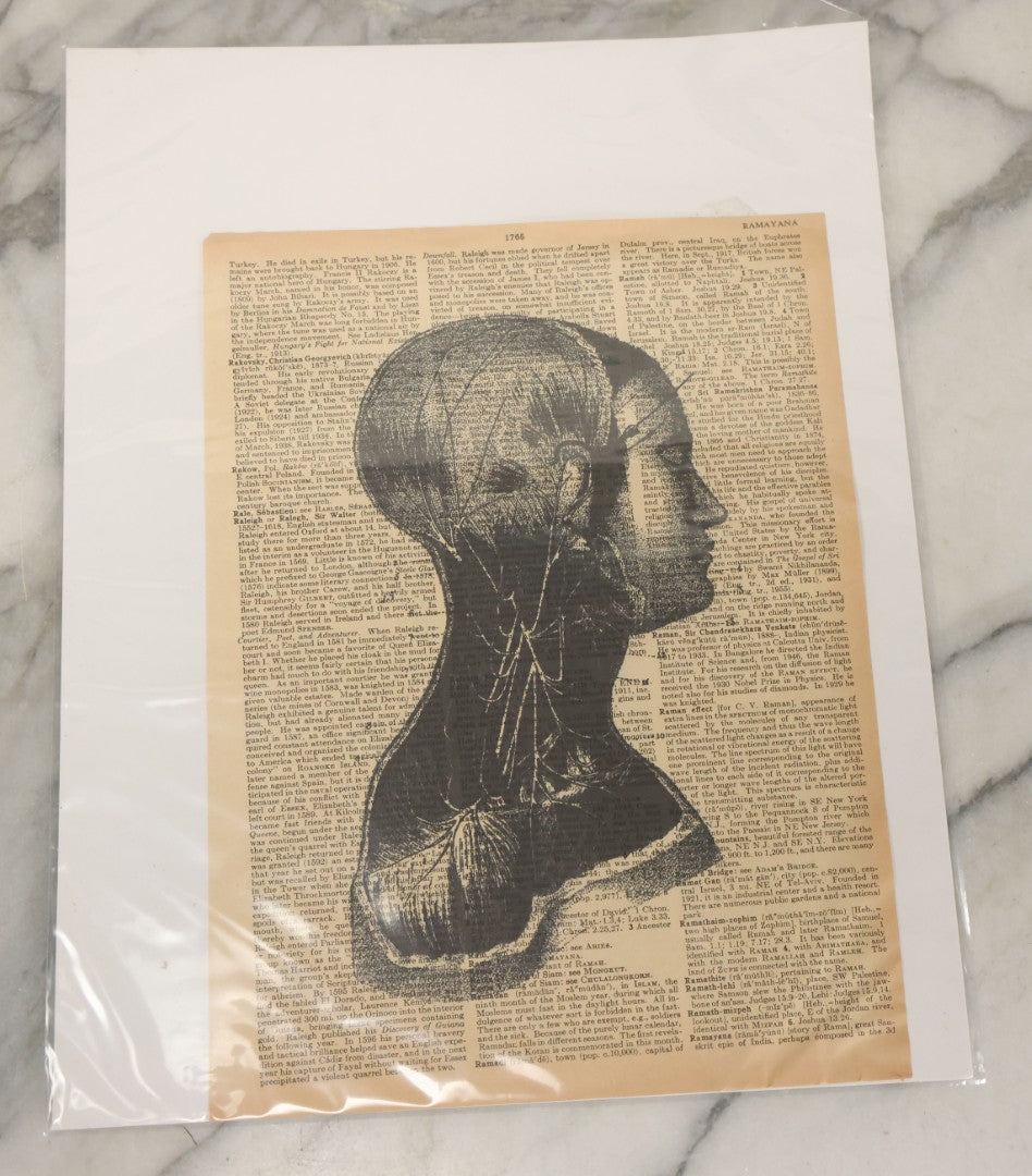 Lot 119 - Pair Of Modern Novelty Oddities Including Conjoined Baby Tile And Block Print On Dictionary Paper
