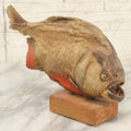Lot 008 - Vintage Piranha Taxidermy Mount, Note Poor Condition, Missing Tailpiece