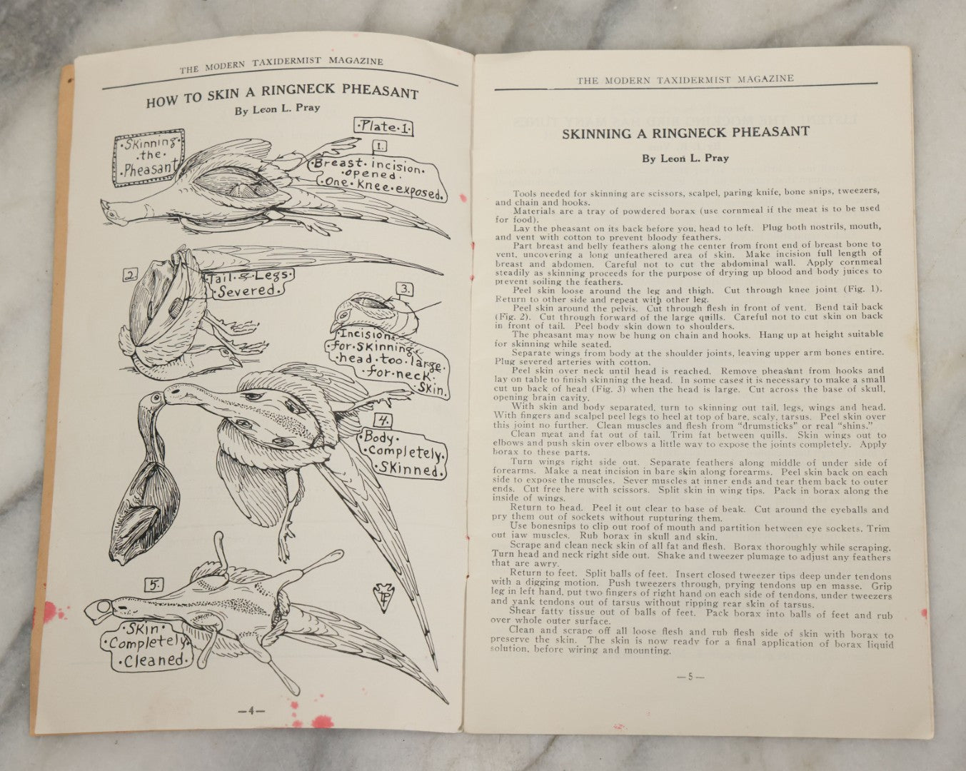 Lot 012 - Vintage "Modern Taxidermist" Magazine Booklet, October 1939, Volume 7, No. 40, Greenfield Center, N.Y.