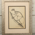 Lot 013 - Antique Animal Anatomy Book Plate Of The Greater Bamboo Lemur (Hapalemur Simus), H. Formant, Lithographer, In Modern Frame, 13" x 16"