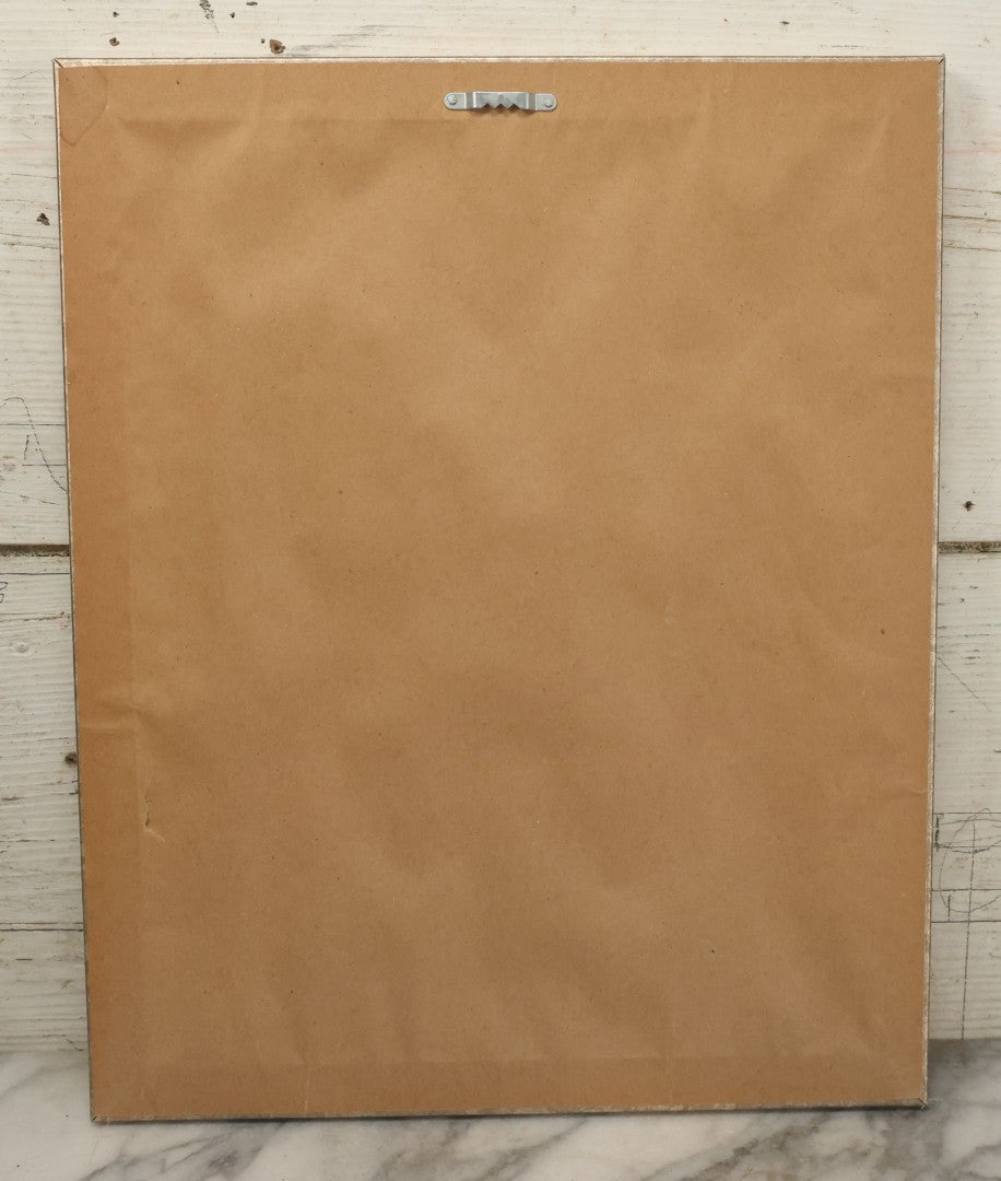 Lot 013 - Antique Animal Anatomy Book Plate Of The Greater Bamboo Lemur (Hapalemur Simus), H. Formant, Lithographer, In Modern Frame, 13" x 16"