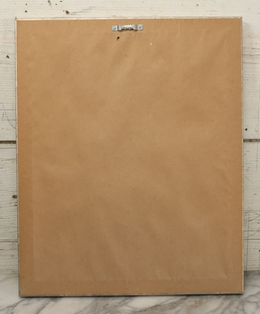 Lot 014 - Antique Animal Anatomy Book Plate Of A Canid (Dog, Wolf, Etc.) Species Skull In Different Views, In Modern Frame, 13" x 16"