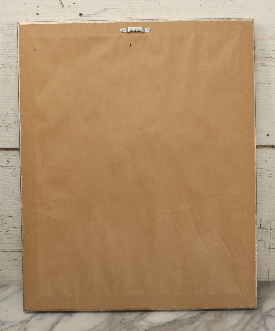 Lot 015 - Antique Animal Anatomy Book Plate Of The Male Eastern Woolly Lemur (Avahis Laniger), A.M. Edwards & Louveau, Lithographers, In Modern Frame, 13" x 16"