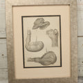 Lot 016 - Antique Animal Anatomy Book Plate Of A Lemur Species In Different Views, In Modern Frame, 13" x 16"