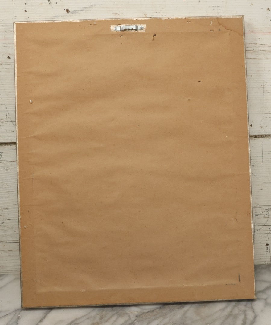 Lot 016 - Antique Animal Anatomy Book Plate Of A Lemur Species In Different Views, In Modern Frame, 13" x 16"