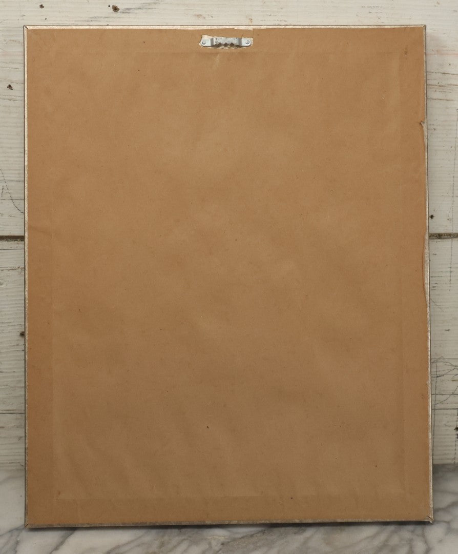 Lot 017 - Antique Animal Anatomy Book Plate Of A Lemur Or Similar Species Sexual Organs And Reproduction, In Modern Frame, 13" x 16"