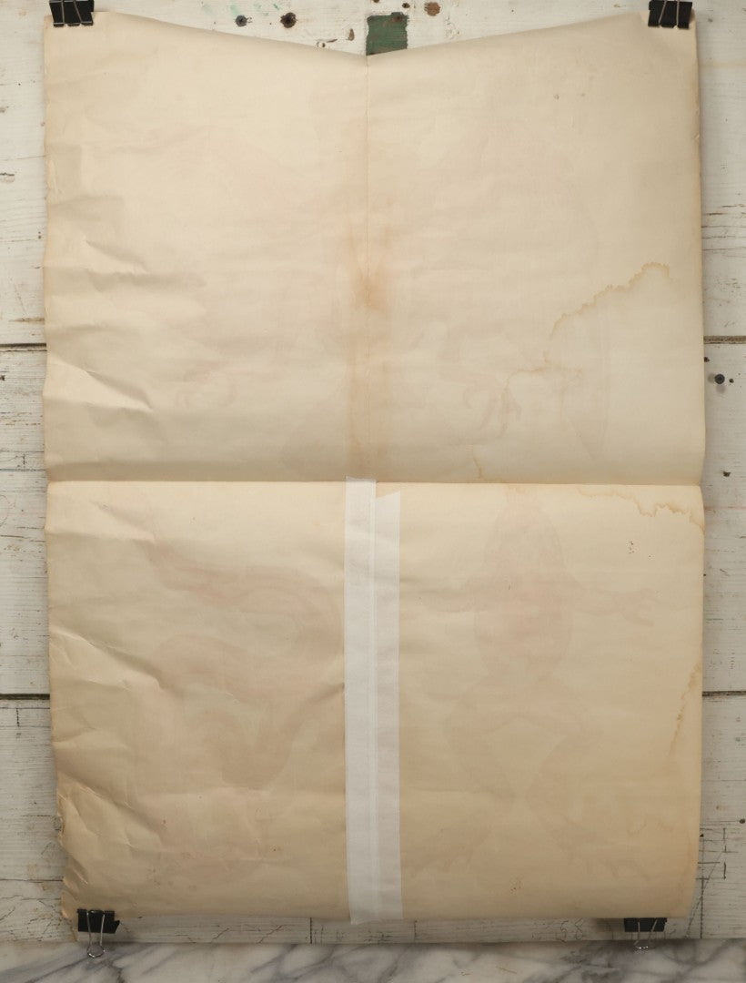 Lot 019 - Vintage Chinese Animal Anatomy Poster Depicting A Pigeon, A Frog, And A Snake, Published By Shanghai New Asia Bookstore, Note Tears, Creases, 20-3/4" x 30-3/8"