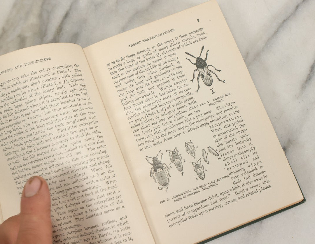 Lot 021 - "Insects And Insecticides: A Practical Manual Concerning Noxious Insects And The Methods Of Preventing Their Injuries" Antique Book By Clarence M. Weed, Illustrated, Second Revised Edition, Orange Judd Company, Publishers, New York, 1904