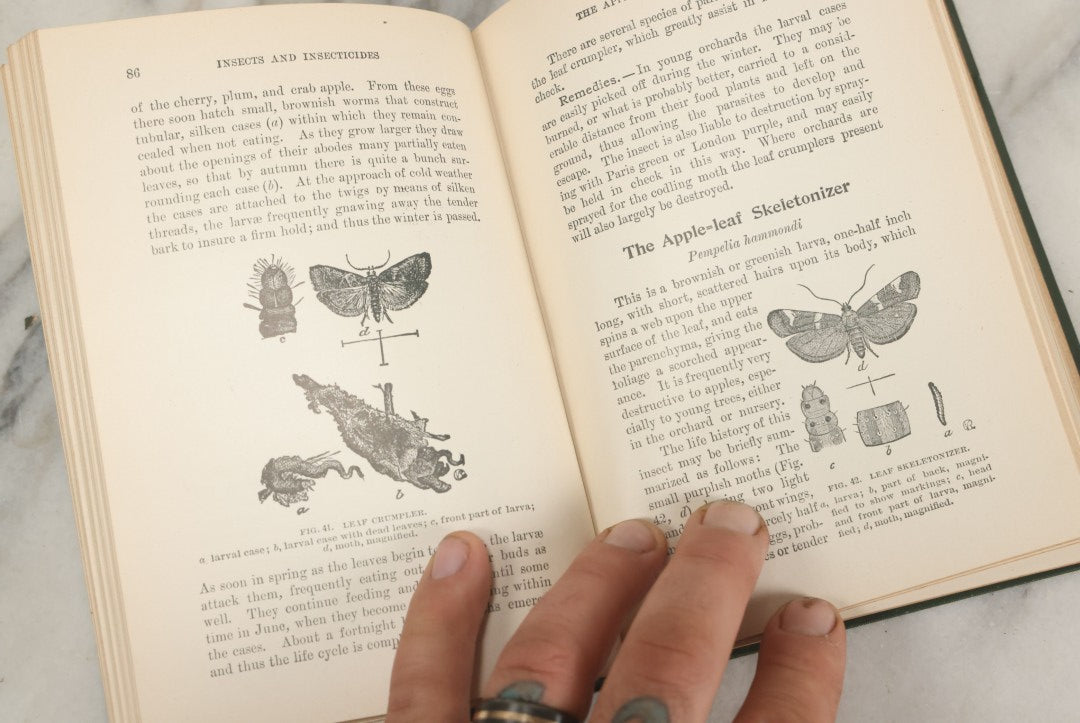 Lot 021 - "Insects And Insecticides: A Practical Manual Concerning Noxious Insects And The Methods Of Preventing Their Injuries" Antique Book By Clarence M. Weed, Illustrated, Second Revised Edition, Orange Judd Company, Publishers, New York, 1904