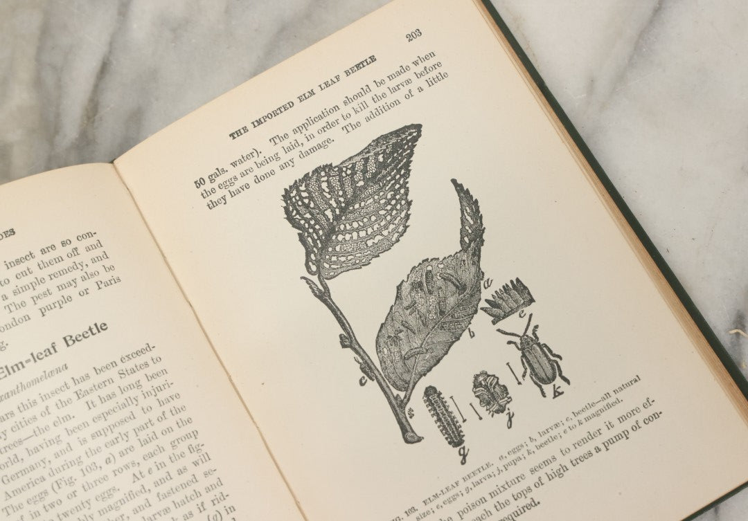 Lot 021 - "Insects And Insecticides: A Practical Manual Concerning Noxious Insects And The Methods Of Preventing Their Injuries" Antique Book By Clarence M. Weed, Illustrated, Second Revised Edition, Orange Judd Company, Publishers, New York, 1904