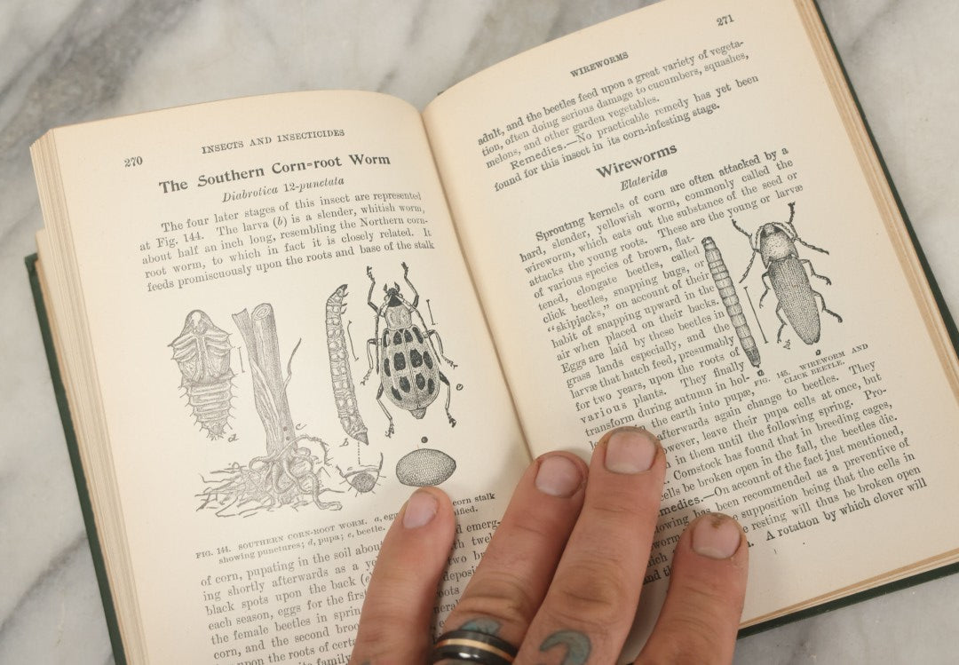 Lot 021 - "Insects And Insecticides: A Practical Manual Concerning Noxious Insects And The Methods Of Preventing Their Injuries" Antique Book By Clarence M. Weed, Illustrated, Second Revised Edition, Orange Judd Company, Publishers, New York, 1904