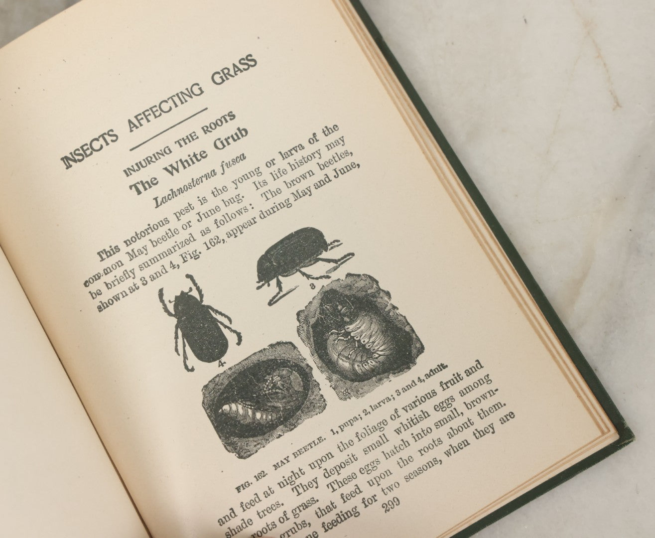 Lot 021 - "Insects And Insecticides: A Practical Manual Concerning Noxious Insects And The Methods Of Preventing Their Injuries" Antique Book By Clarence M. Weed, Illustrated, Second Revised Edition, Orange Judd Company, Publishers, New York, 1904