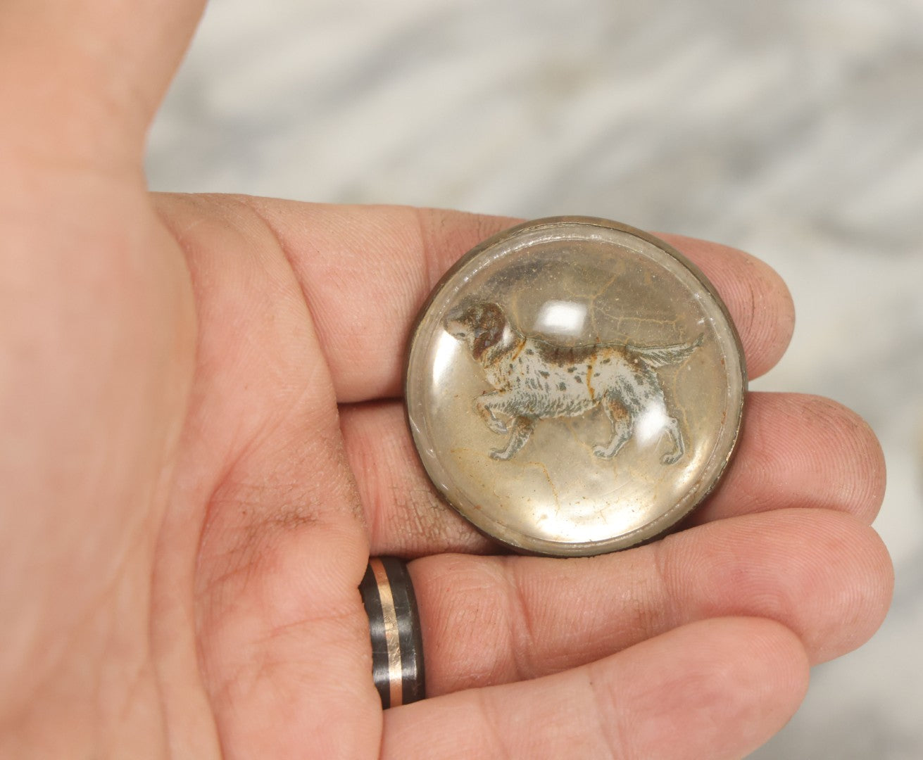 Lot 029 - Pair Of Antique Reverse Painted Glass Knobs With Hunting Dog Paintings, Screw Backs