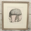 Lot 057 - Antique Late 18th Century Aquatint Anatomical Print, Plate 58, Dissected Head, By A. Fyfe, In Modern Frame, 14-1/4" x 15-1/4"