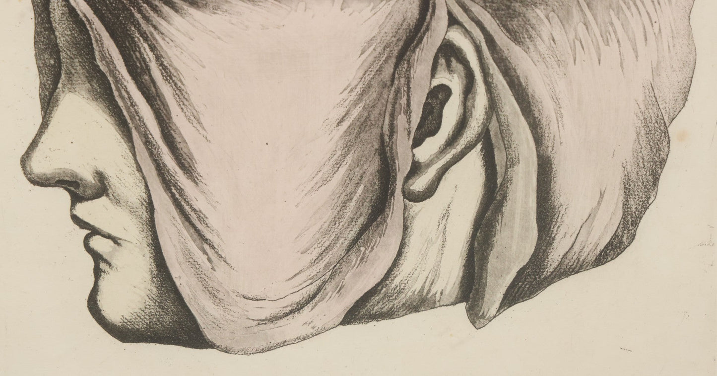 Lot 057 - Antique Late 18th Century Aquatint Anatomical Print, Plate 58, Dissected Head, By A. Fyfe, In Modern Frame, 14-1/4" x 15-1/4"