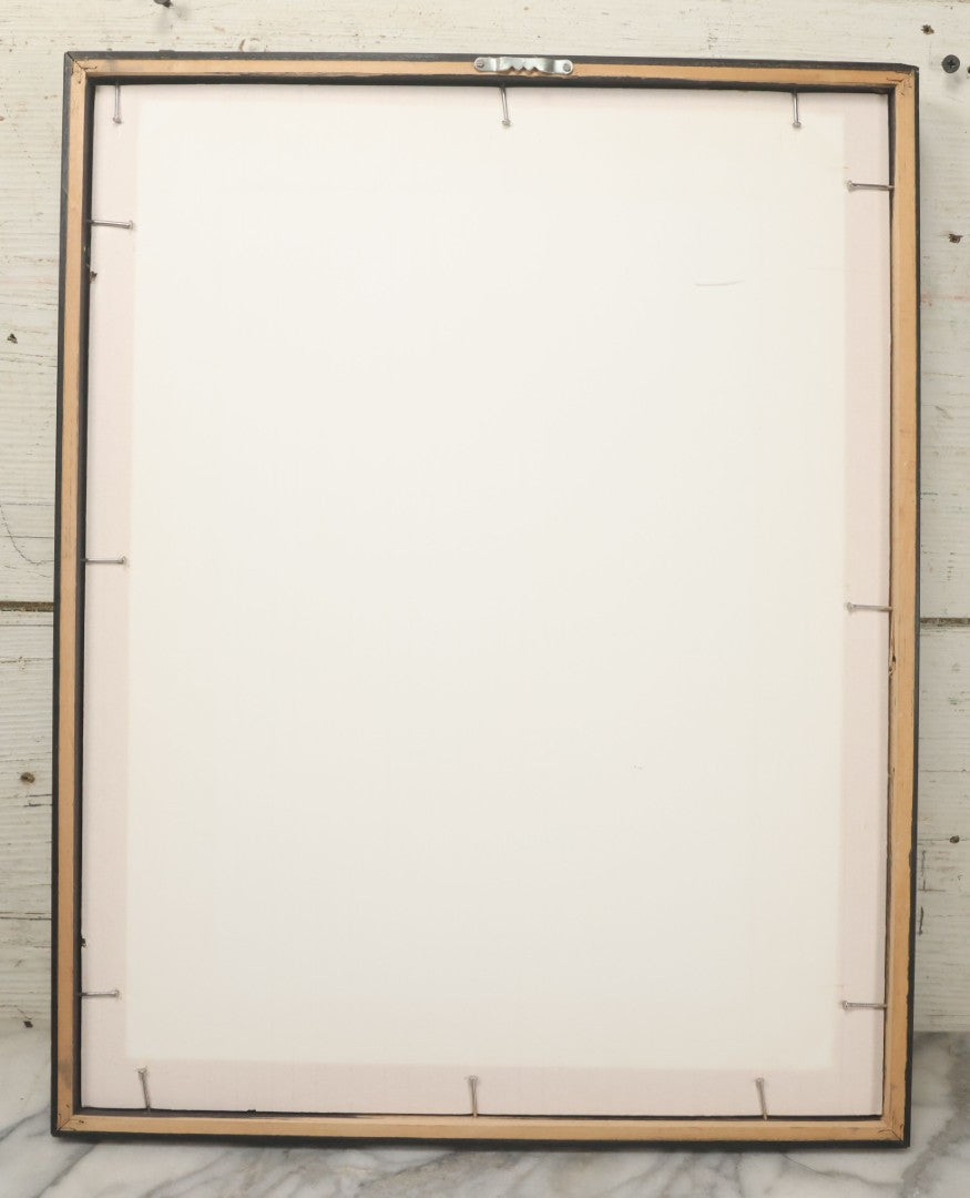 Lot 060 - Antique Black And White Anatomical Print After N. H. Jacob Showing A Dissection Of The Human Back Side, In Modern Frame, 14-7/8" x 19"