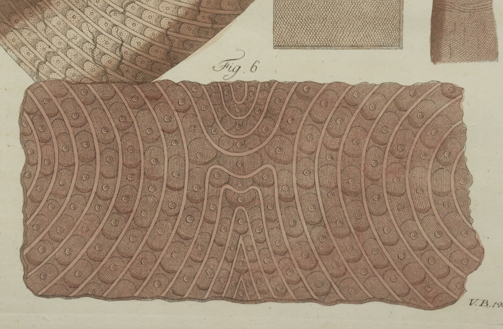 Lot 064 - Antique Late 18th Century Anatomical Book Plate Engraving Print Of The Human Finger, In Modern Frame, 9" x 10-5/8"