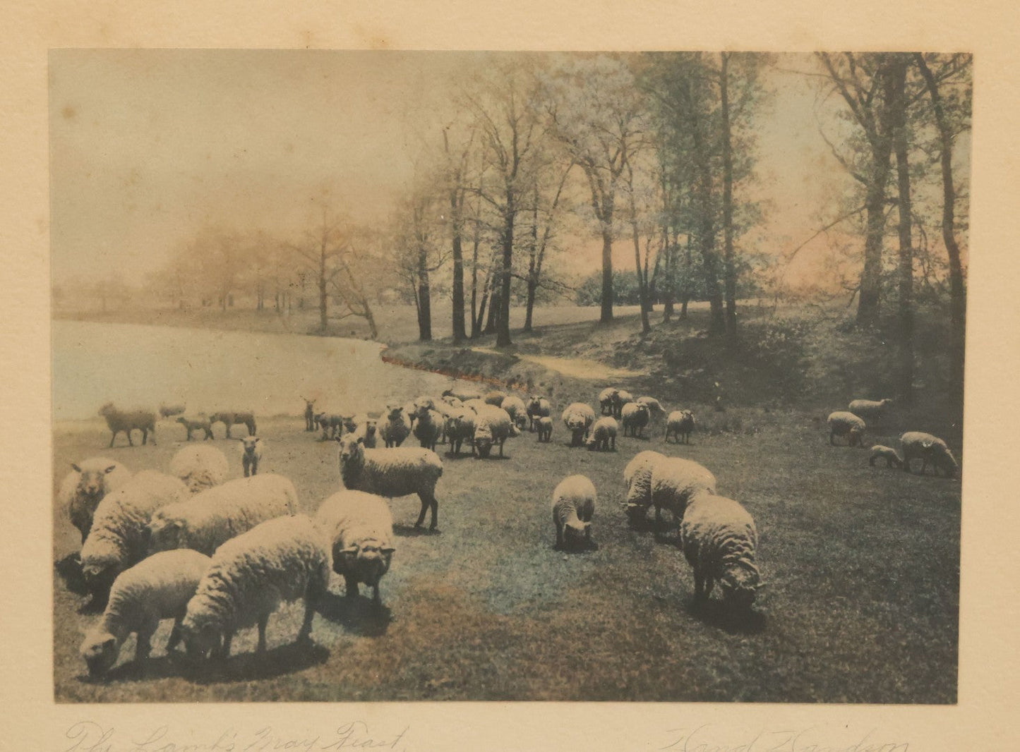 Lot 092 - Antique Photograph Titled "The Lanks May Feast" Photo Of Sheep By David Davidson, Artist Signed, In Frame, 13-1/8" x 11-1/8"