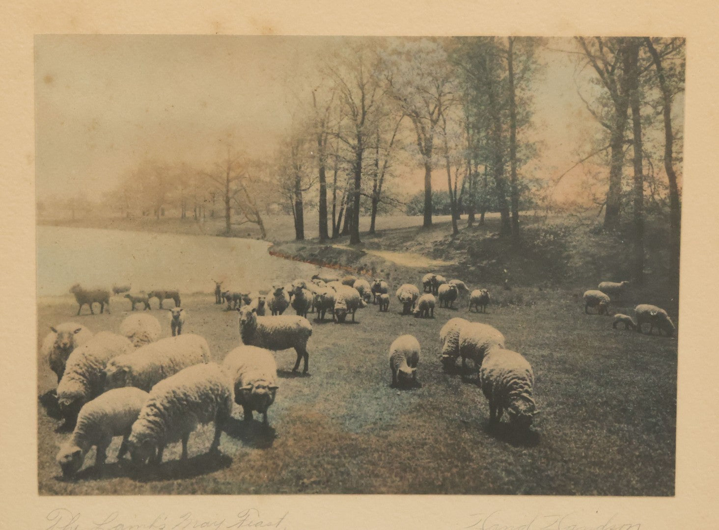 Lot 092 - Antique Photograph Titled "The Lanks May Feast" Photo Of Sheep By David Davidson, Artist Signed, In Frame, 13-1/8" x 11-1/8"