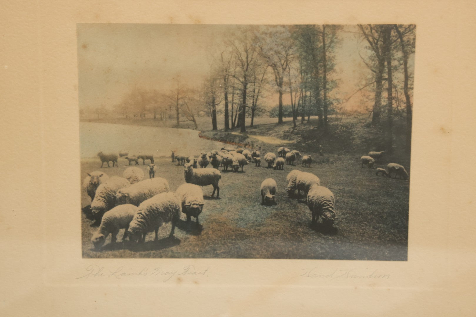 Lot 092 - Antique Photograph Titled "The Lanks May Feast" Photo Of Sheep By David Davidson, Artist Signed, In Frame, 13-1/8" x 11-1/8"