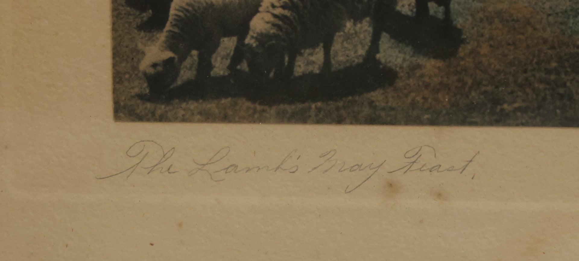 Lot 092 - Antique Photograph Titled "The Lanks May Feast" Photo Of Sheep By David Davidson, Artist Signed, In Frame, 13-1/8" x 11-1/8"