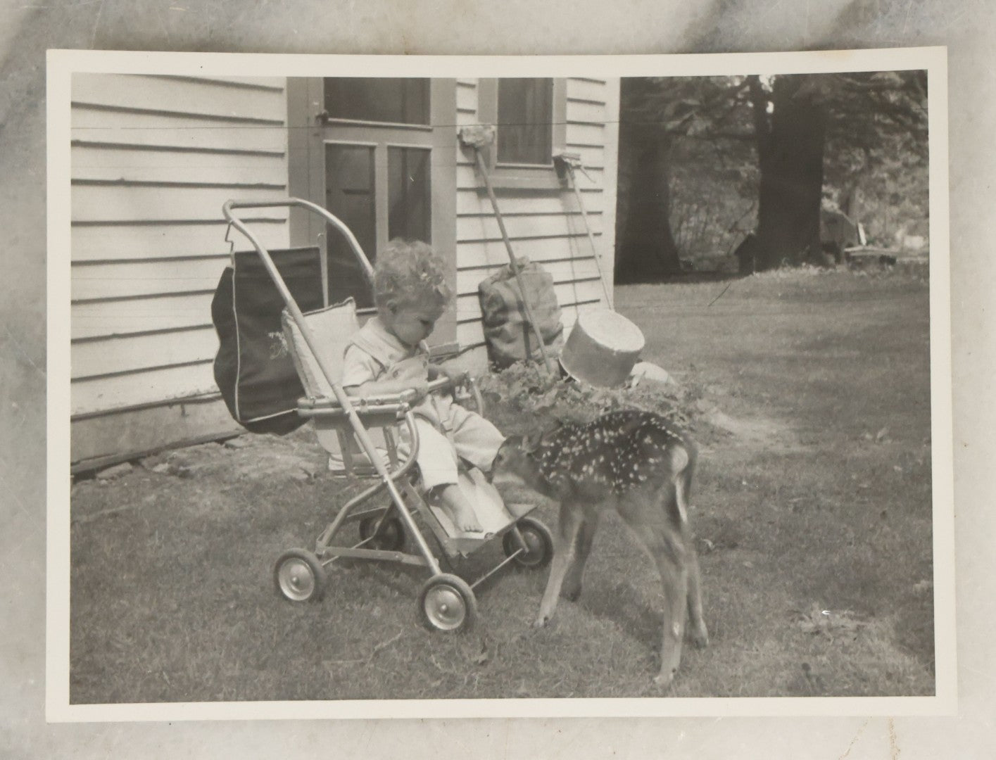Lot 098 - Grouping Of Seven Vintage Snap Shot Photographs Including Child With Baby Deer Fawn, Man With Pelts, Teepee Campsite, Burned Boat, Etc.