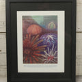 Lot 103 - Antique Book Plate Natural History Print, "Some Sea Urchins" By Theo. Carreras, In Modern Frame, 11-7/8" x 15"