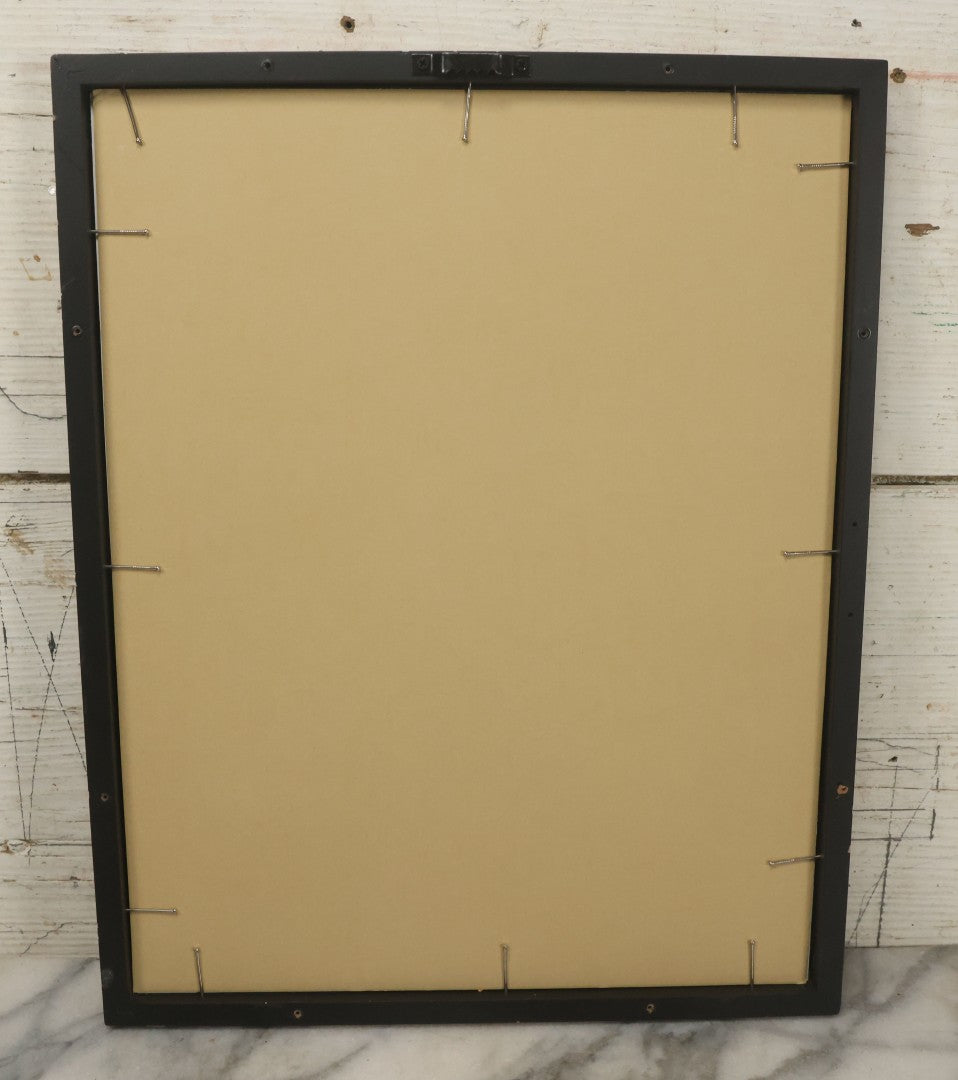 Lot 105 - Antique Book Plate Natural History Print, "Beautiful Worms Of The Sea" By Theo. Carreras, In Modern Frame, 11-7/8" x 15"