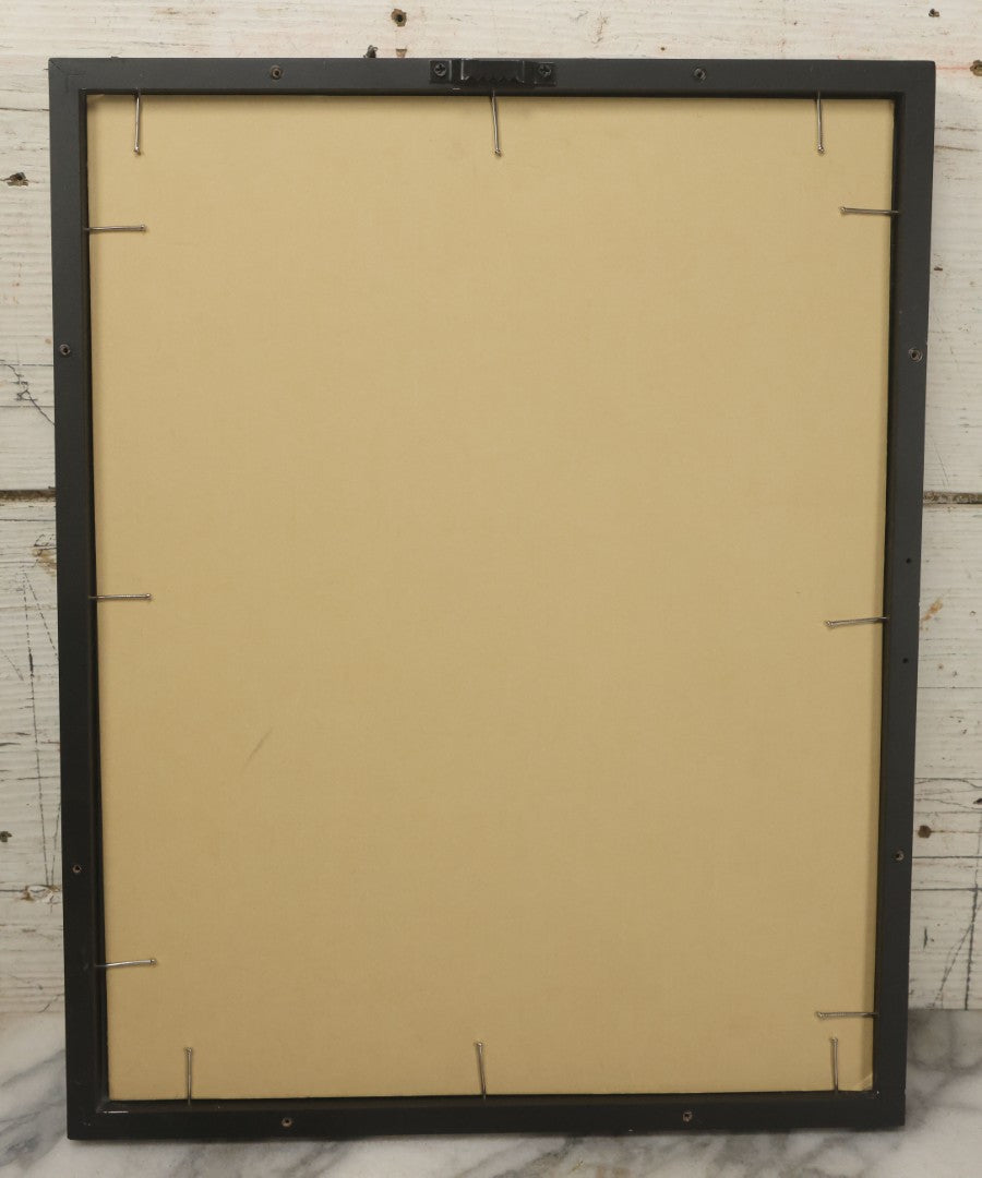 Lot 106 - Antique Book Plate Natural History Print, "The Lattice Fungus And Orange Elf-Cup" By Theo. Carreras, In Modern Frame, 11-7/8" x 15"