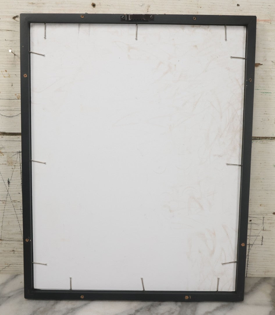 Lot 107 - Antique Book Plate Natural History Print, "Anemones Of The Southern Seas" By Theo. Carreras, In Modern Frame, 11-7/8" x 15"