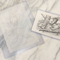 Lot 112 - Two Pieces Of Loose Vintage Frog-Related Ephemera, Including Tracing Paper Overlay Of Frog Anatomy, Frog Book Plate Print