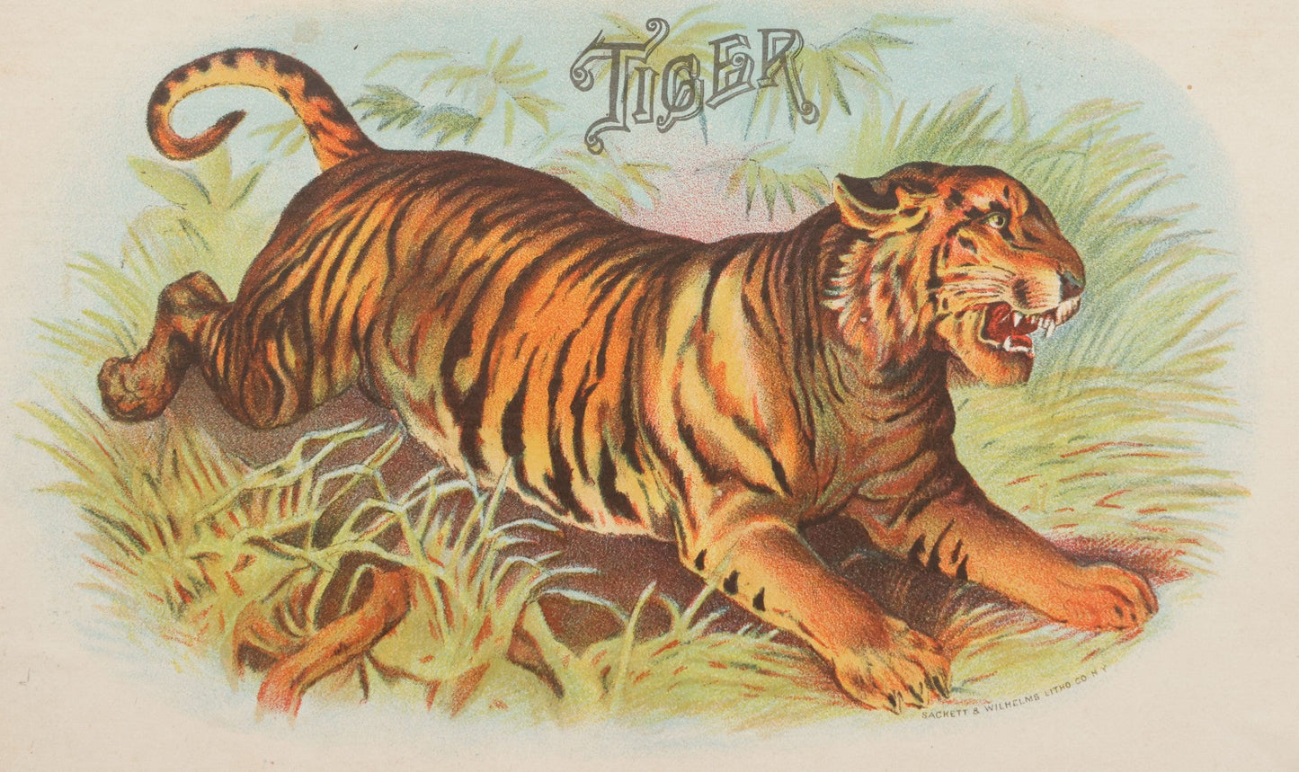 Lot 093 - Antique Wooden Cigar Box With Lithographed Label For Tiger Brand Cigars, With Tiger Graphics On External And Internal Labels, Sackett & Wilhelms Lithograph Company, New York