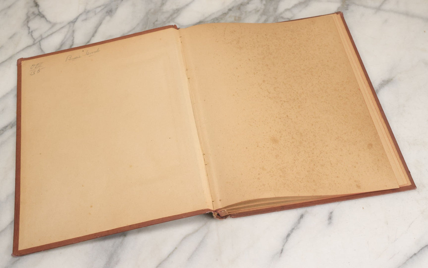 Lot 105 - Empty Antique Victorian Scrapbook With Embossed Cover With Gold Paint And Roe Deer, Lithograph Of Woman With Flower Basket, Belonged To Bessie Gooch, No Contents, As Found